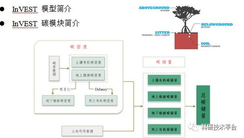 當(dāng)量因子法 invest solves模型等多技術(shù)融合在生態(tài)系統(tǒng)服務(wù)功能社會價值評估中的應(yīng)用及論文寫作 拓展分析